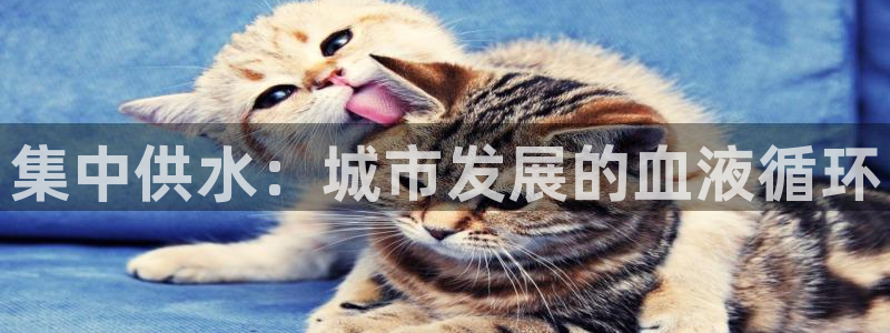 球友会审核