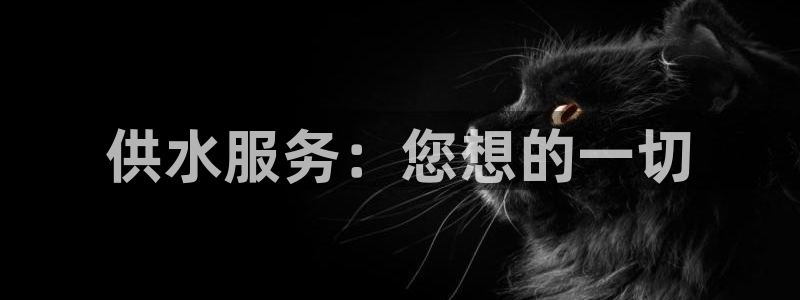 qy球友会体育