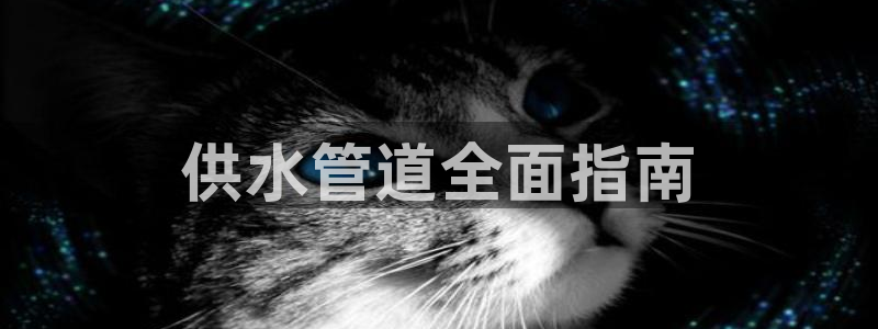 球友会友谊赛7月28日曼联阿森纳