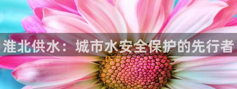 球友会软件