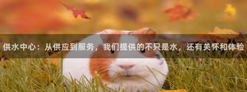 球友会qyh88bet