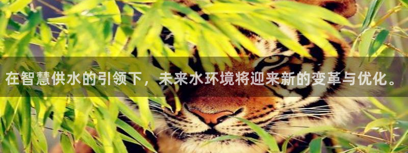 球友会官方网站入口