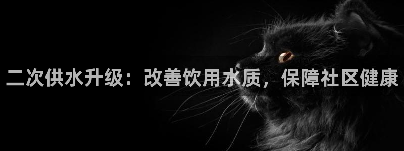 球友会网站多少