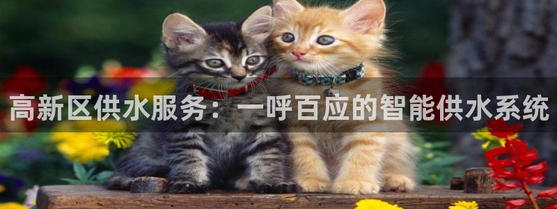 球友会体育app下载官网安卓