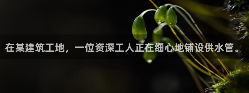 球友会比赛结果查询系统