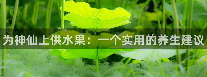 球友会登录球友会官网