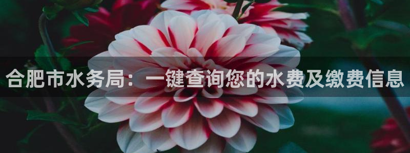 球友会在线登录