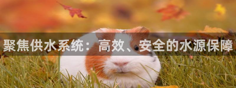 球友会开户礼金在哪领