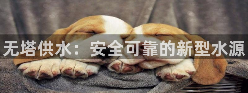 球友会app干啥的呀