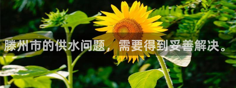 球友会app安全吗可靠吗知乎