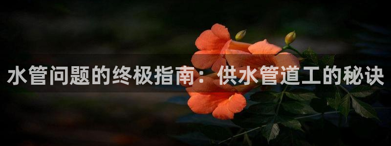 qy球友会体育官下载