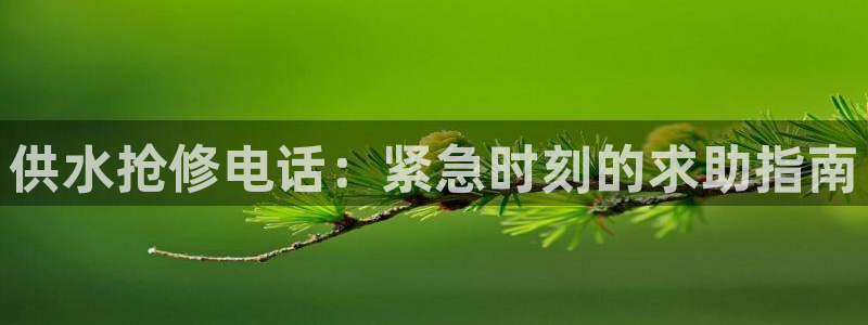 球友会app干啥的软件