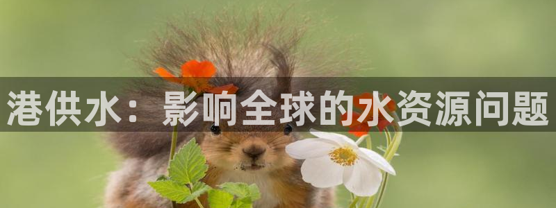 球友会比赛结果查询系统