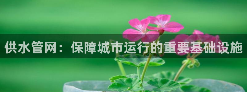 球友会app干啥的啊