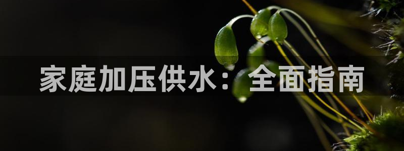 球友会比尔森胜利塔波斯科