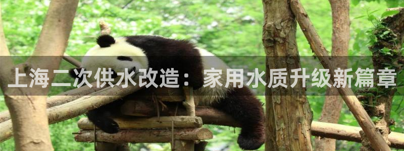 球友会官方网站下载