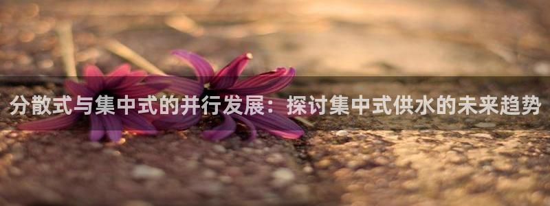 球友会是不是大平台