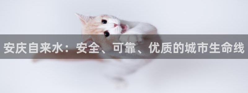 球友会app官方网站入口