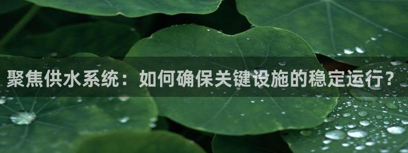 球友会官方网站入口