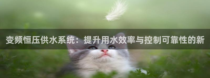 QY球友会体育官网