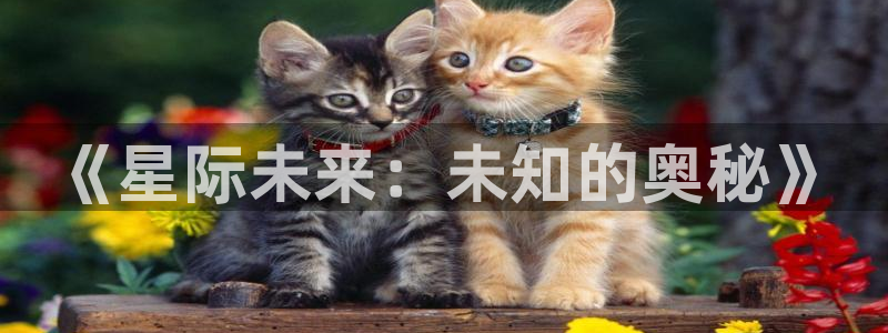 七猫免费阅读官方网页