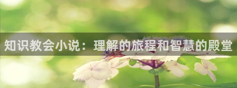 七猫免费小说.